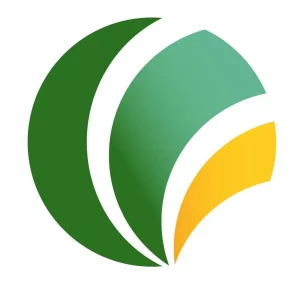 WEO Ball A4 Wasserzeichen Word