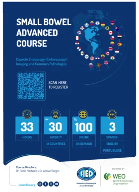 Small Bowell advanced course